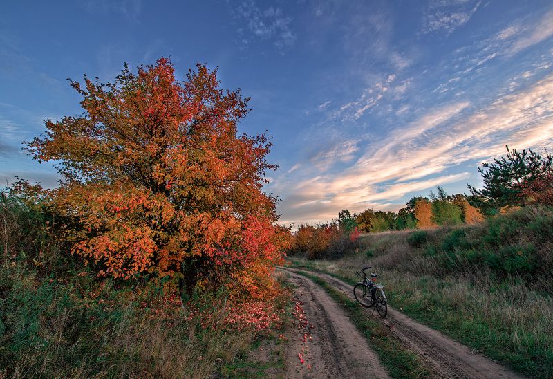 пейзаж, осень Осень пахнет дикими яблокамиphoto preview
