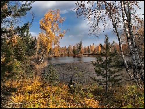 Художник по имени Осень
