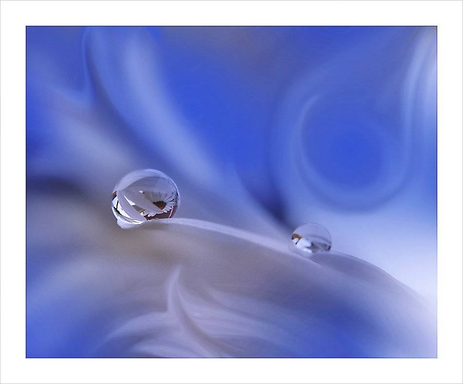 o//o\\o. Автор: Juliana Nan , Juliana Nan