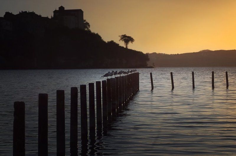 World...photo preview