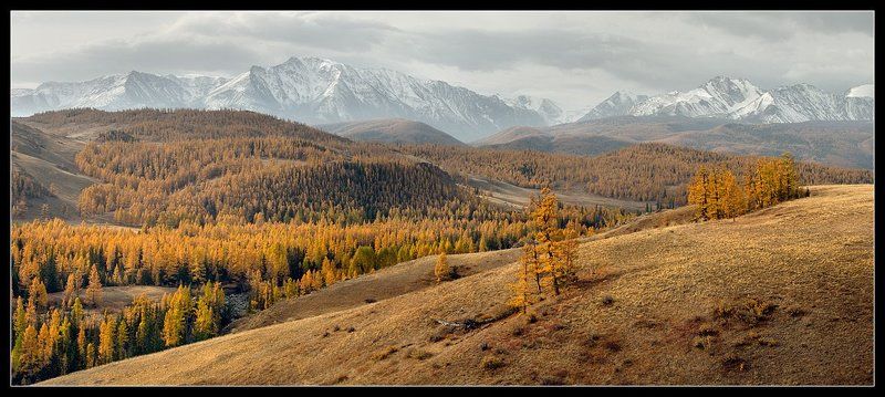 алтай ,река, актру, долина, осень Долина реки Актру...photo preview