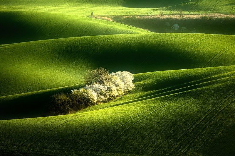 South Moravia ...