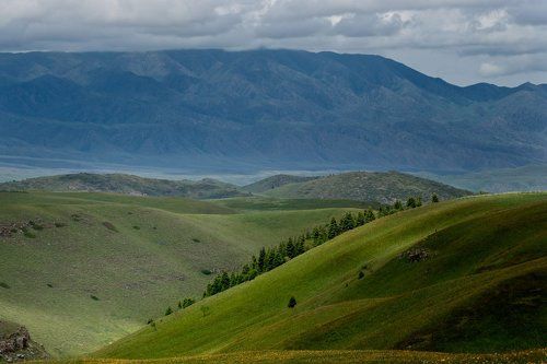 Табан карагой 2
