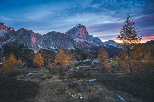 Tofana