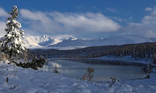 Снежное безмолвие