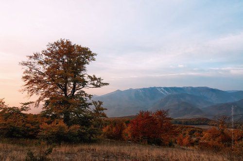 осенний рассвет