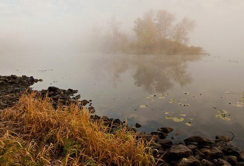 Осеннее утро