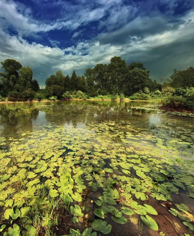 Ещё не всё про лето рассказали... :-)photo preview