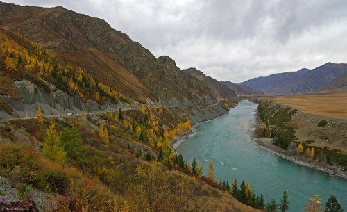 Катунь