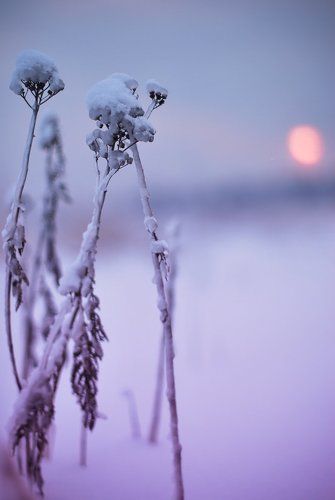 зимняя сказка