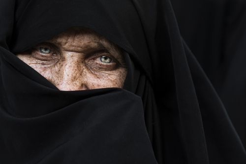 the eyes 