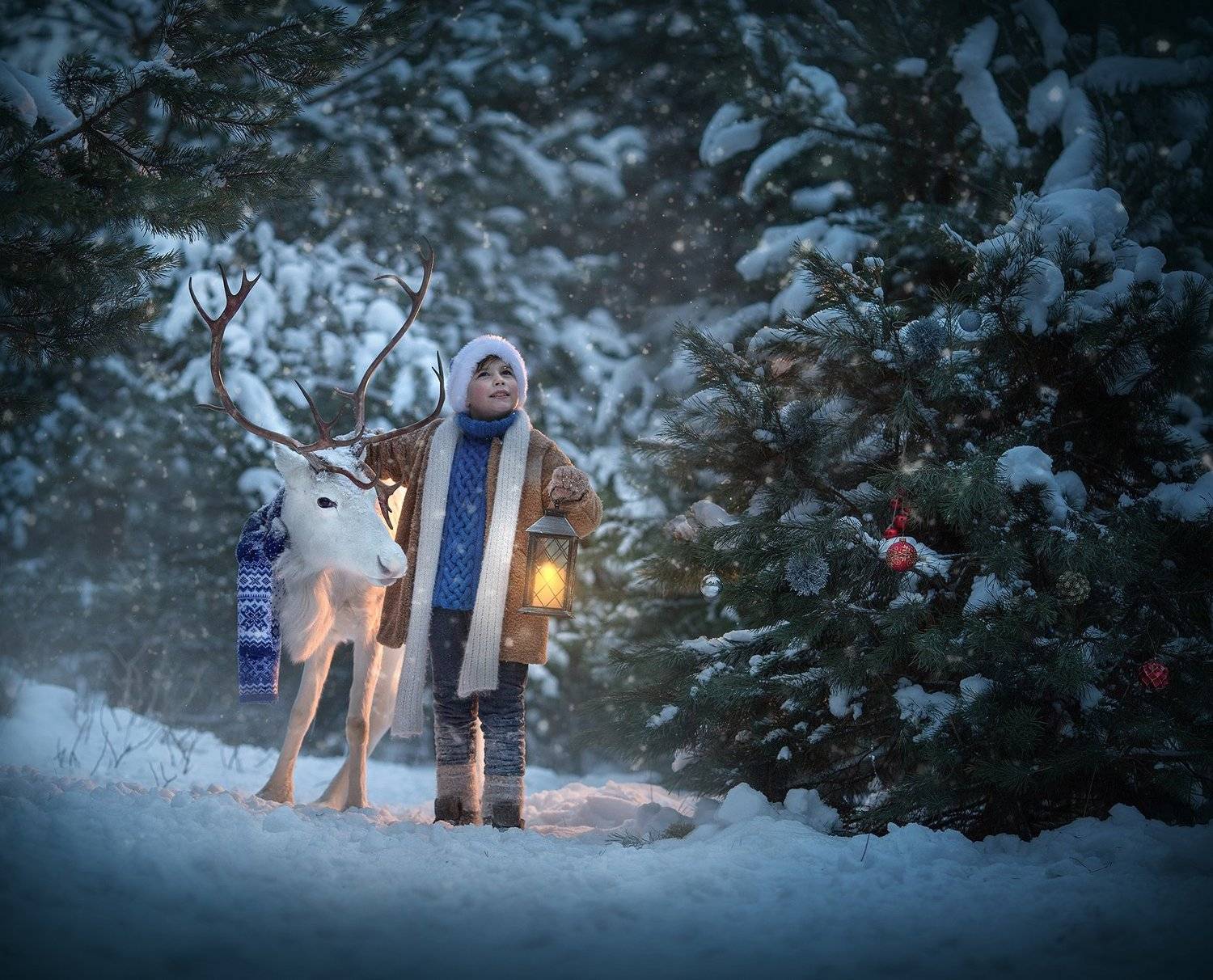 , Диана Аникеева