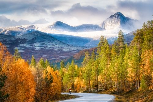 Autumn color nature