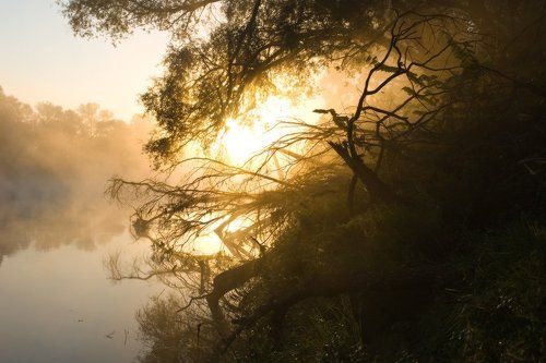 Утро в тридевятом царстве, тридесятом государстве