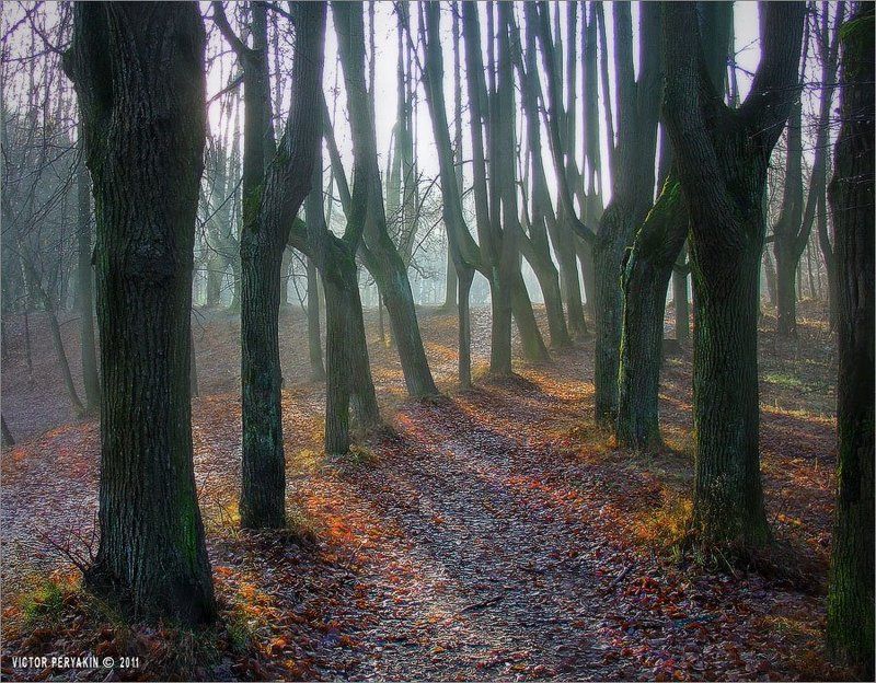 Ноябрьское утроphoto preview