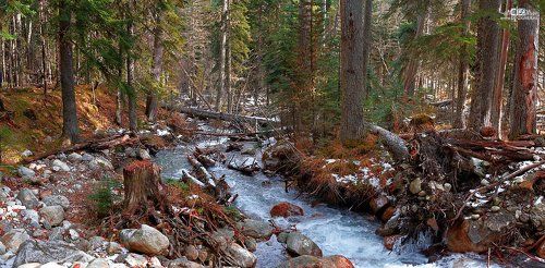 Осенний ручей