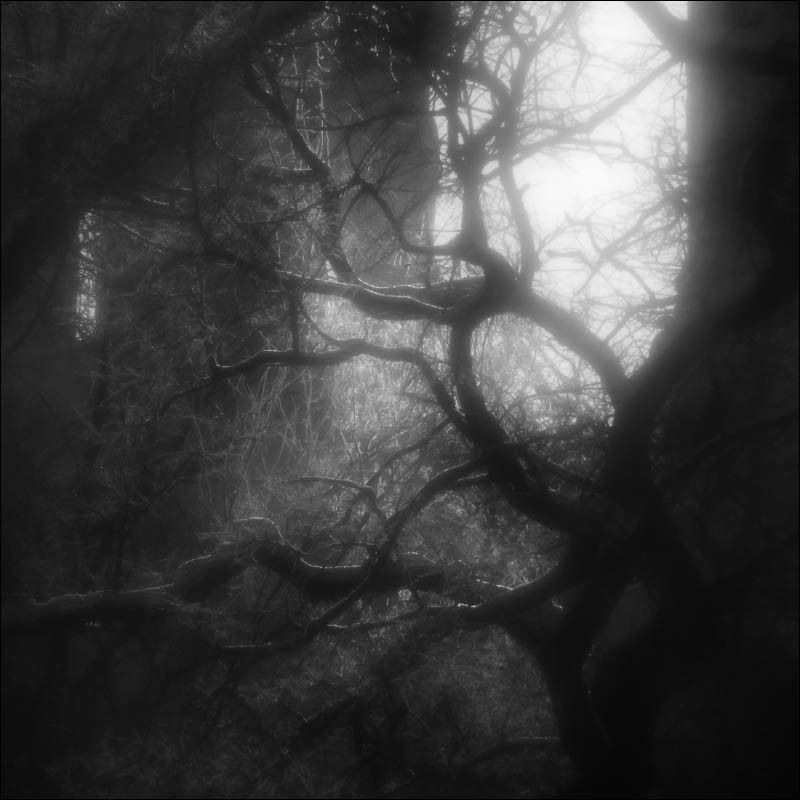 монокль Светphoto preview