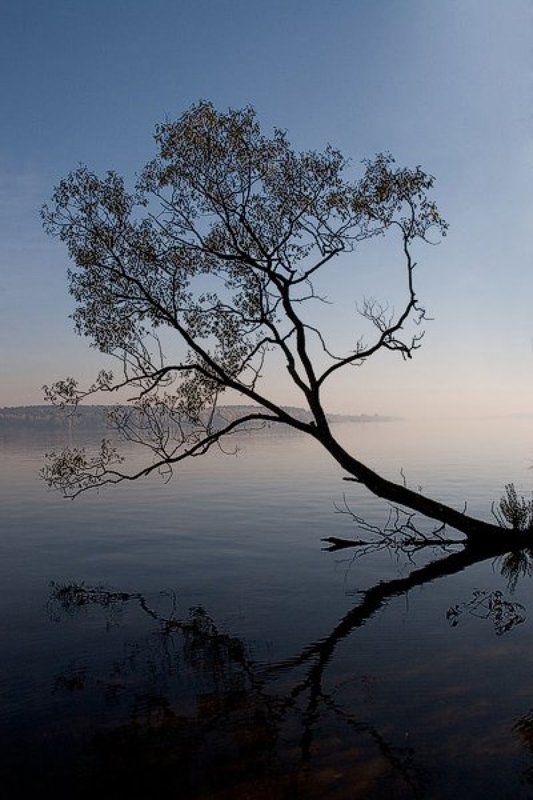 Русский рассвет в японском стиле.photo preview