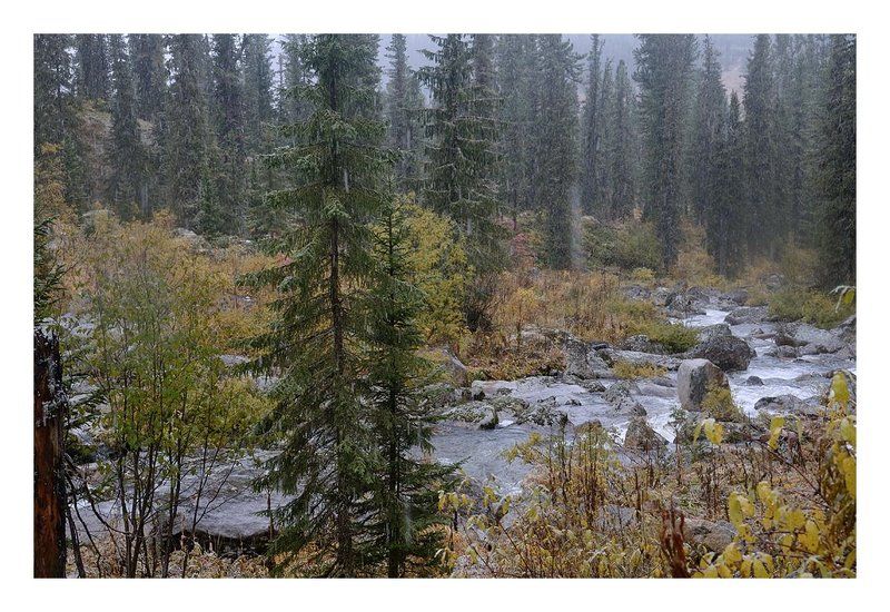 Сентябрьский день в Саянских дебрях.photo preview