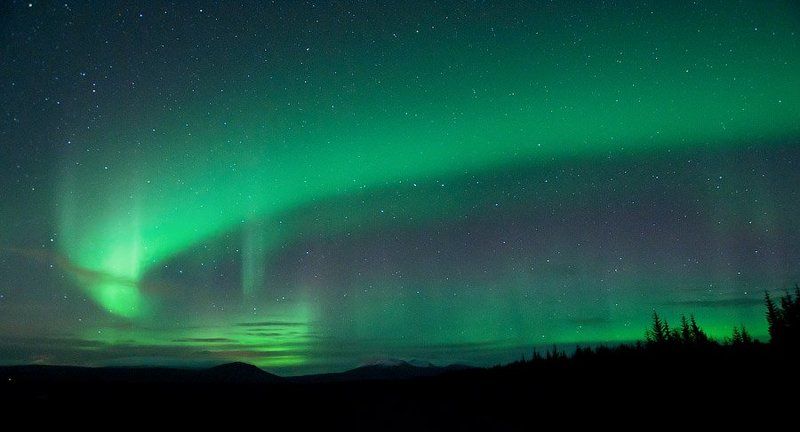 midnight dancerphoto preview