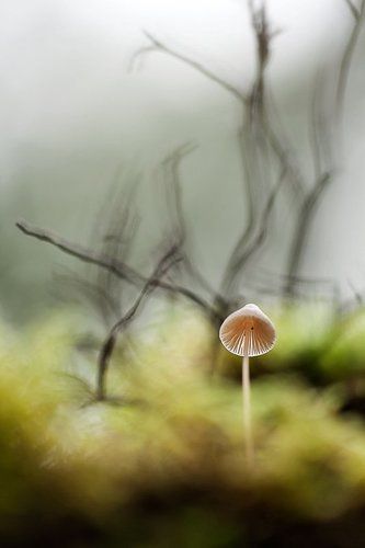 в небо