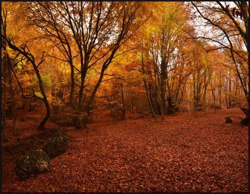 Осенний наряд