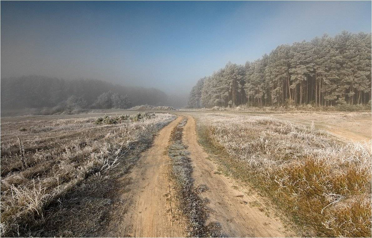 , Николай Шахманцир