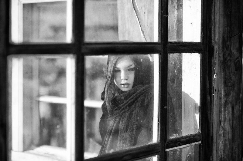 ...photo preview