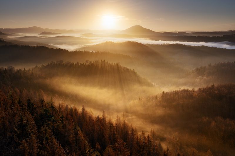 czech republic, bohemian switzerland, trees, fog, mist, morning, sky, beautiful, europe, hills, horizons, layers, valleys Golden Decemberphoto preview