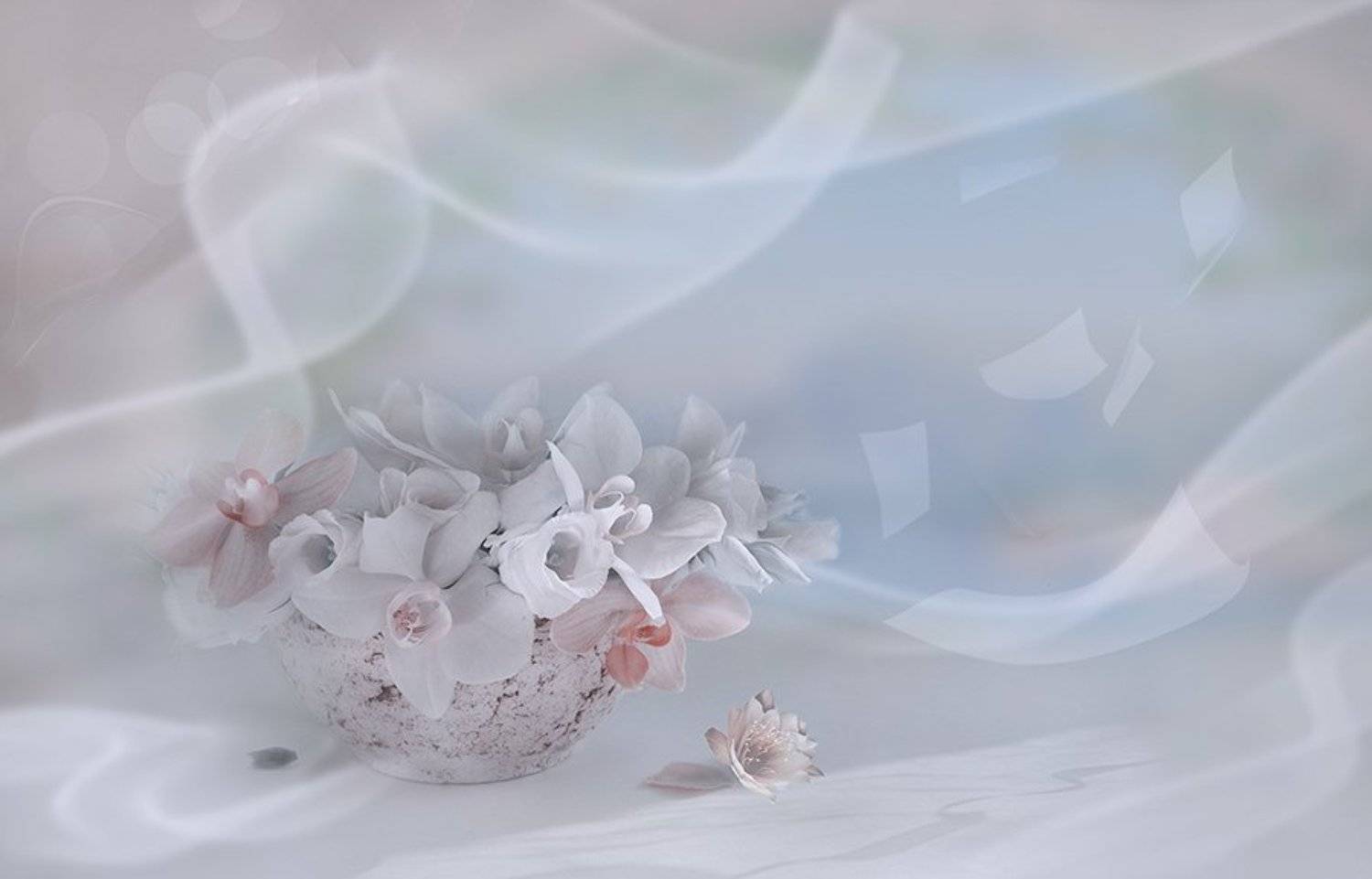 Вдохновения!. Автор: Eлена Шовкопляс букет композиция розы орхидеи радость улыбка вдохновение, Eлена Шовкопляс