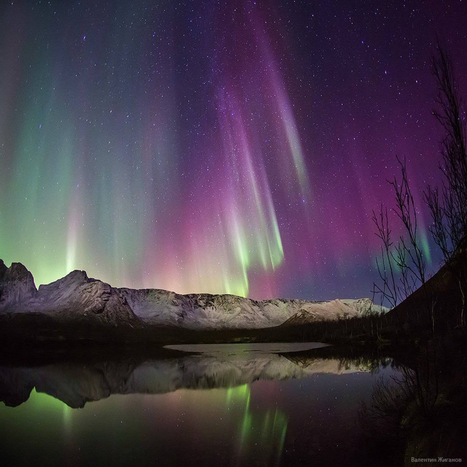 Сияние над Хибинами. Автор: Валентин Жиганов Хибины, сияние, заполярье, Валентин Жиганов