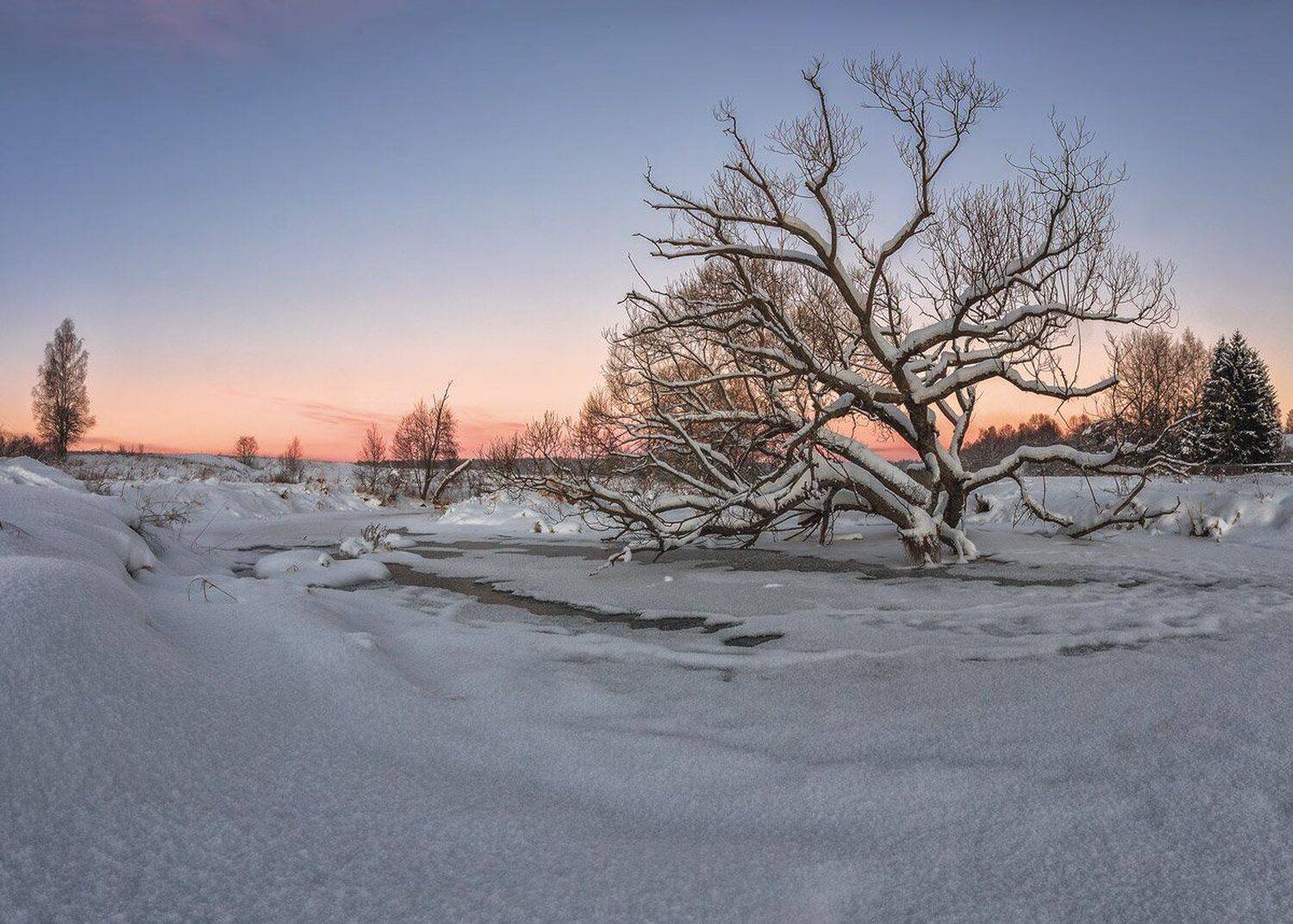 , Николай Андреев