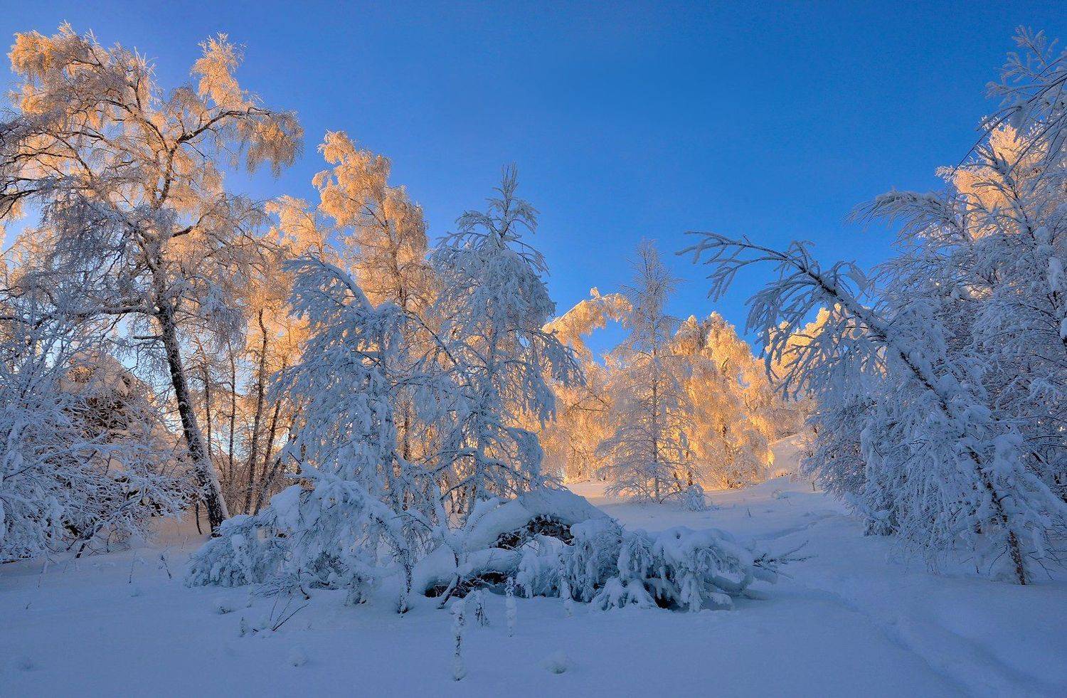 , Клековкин Алексей