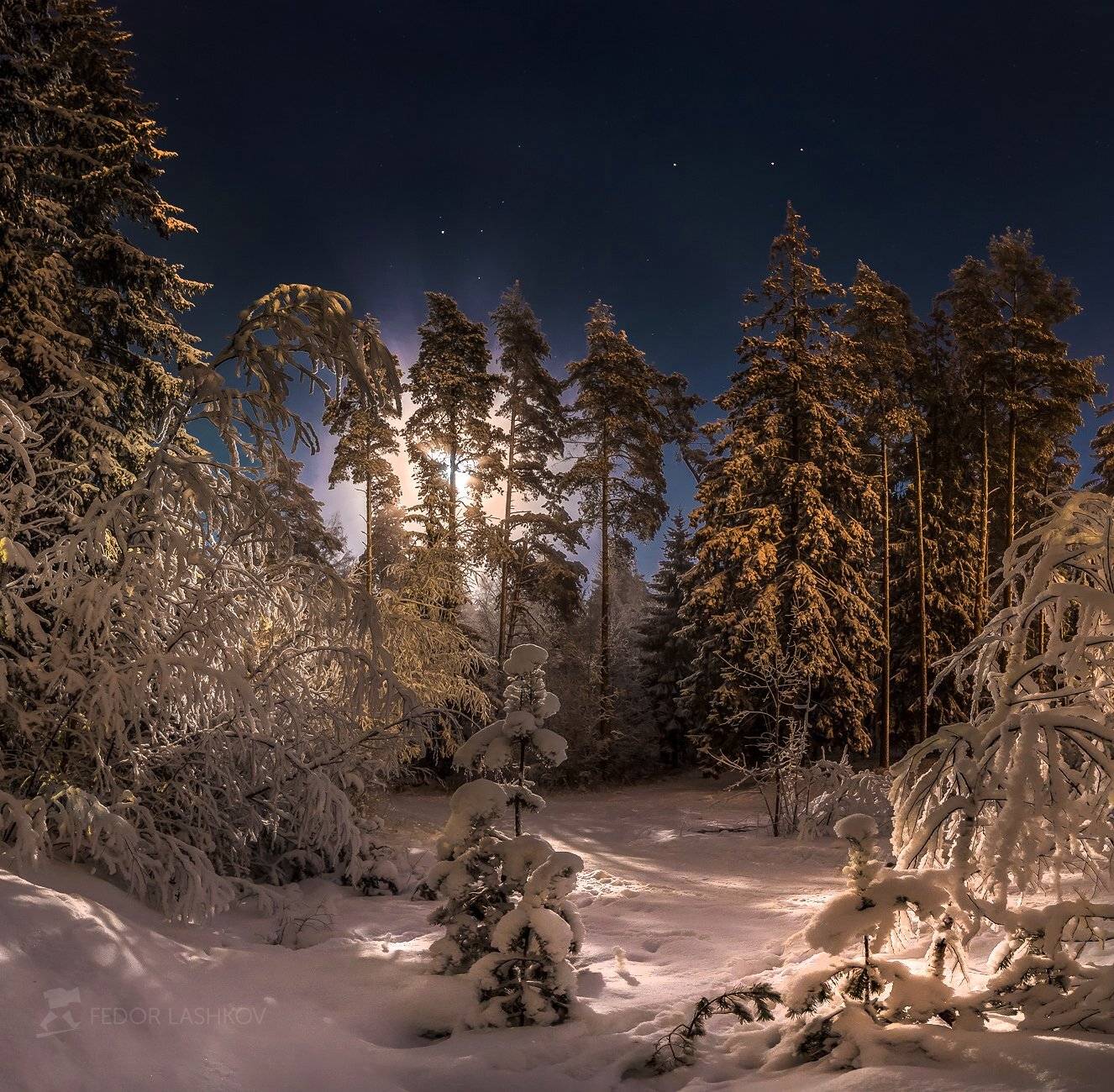 Рождественская ночь. Автор: Лашков Фёдор ночь, ленинградская область, зима, снег, полнолунье, луна, сосны, праздник, рождество, лес,, Лашков Фёдор