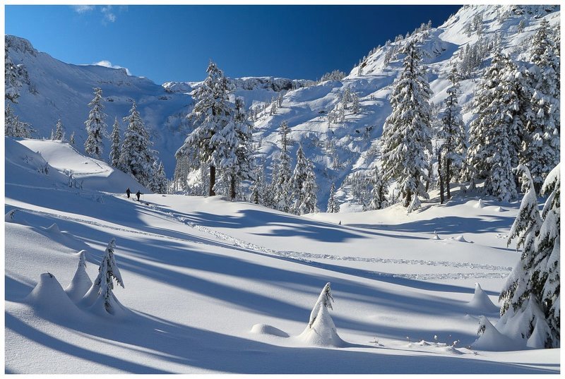 Воскресная прогулкаphoto preview