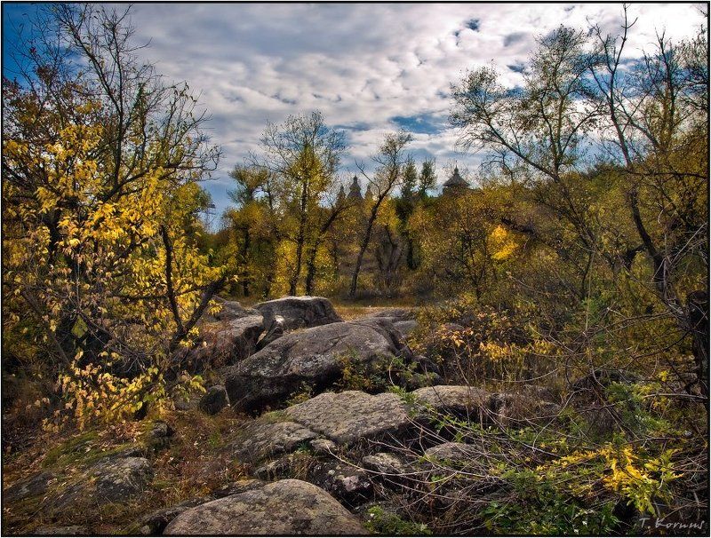 заповедник,хортица,осень Дорога в сказкуphoto preview