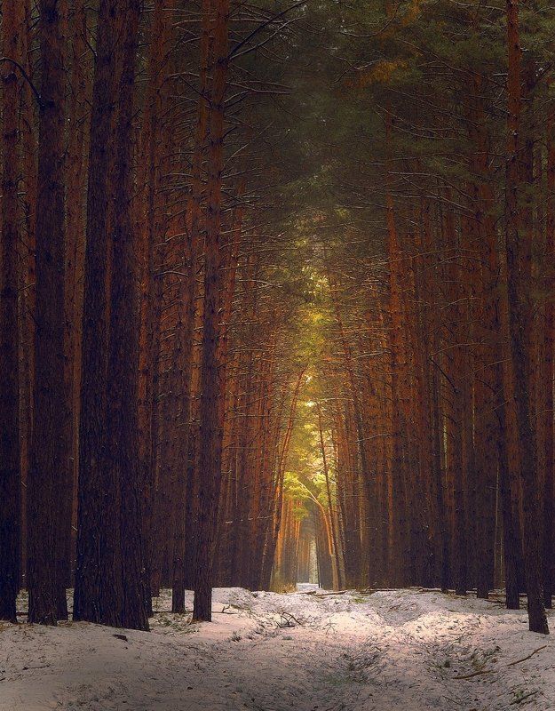 Вариант...photo preview