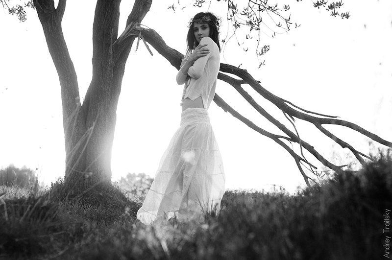 Весенний ветерphoto preview