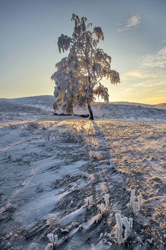 Вечерняя