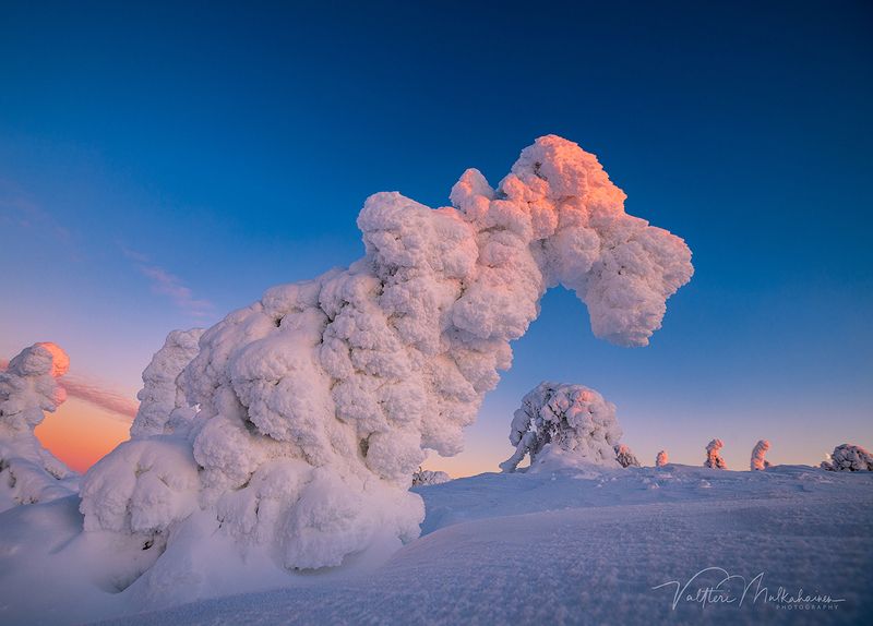 Стражи зимней Лапландииphoto preview