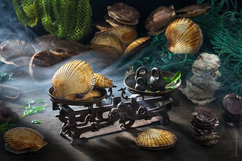 SCALLOP