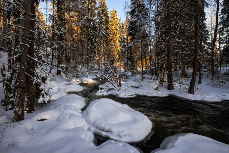 зима,снег,лед,река,поток,снег,свет,берега,пейзаж,лес Лесной реки студеные потокиphoto preview