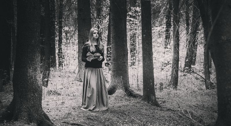 роман шафовал Начало молчания ....photo preview