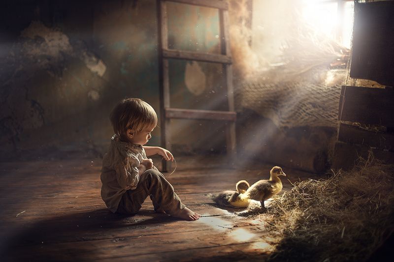 малыш, мальчик, утята, гусята, пасха, деревня А скоро Пасха...photo preview
