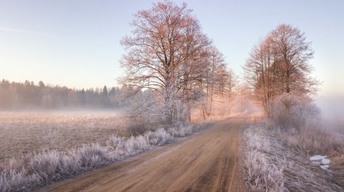 Морозная дорога к Неману