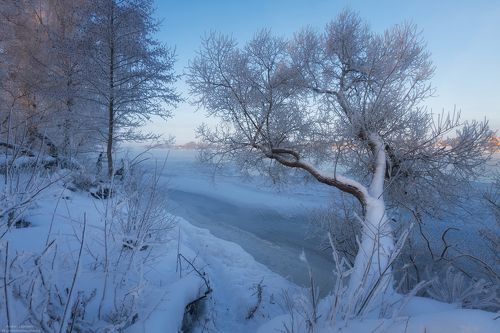 Зимняя зарисовка