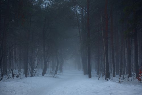 Холодные сумерки. Январь
