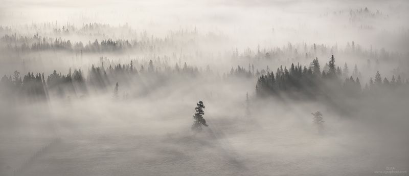сибирь, алтай, курай, altai, altay, siberia в Кураеphoto preview