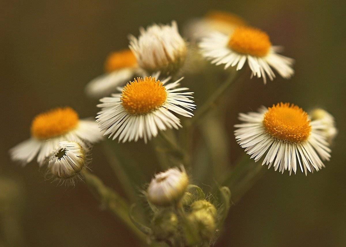 Автор: Михалакий Дмитрий , Михалакий Дмитрий