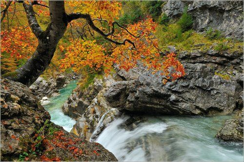 Осень в ущелье Анискло